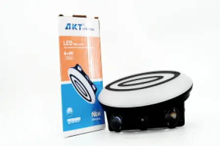 AKT LED WALL LIGHT 6+4W