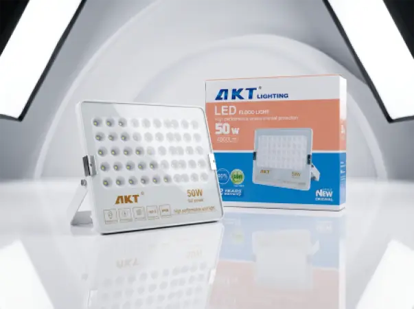 Projecteur LED AKT 50W (AKT-TGD12030-50W)