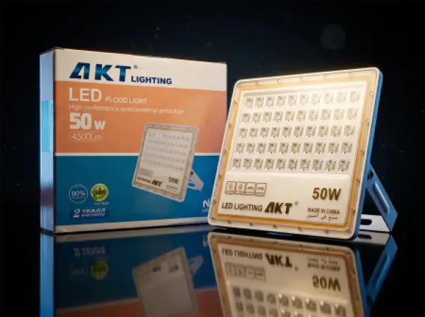 AKT 50W LED泛光灯（AKT-TGD12026-50W）