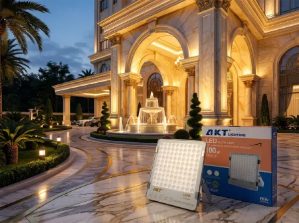 Projecteur LED AKT 100W (AKT-TGD12030-100W)