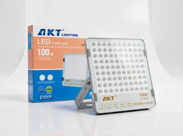 AKT LED Flood Light 100W (AKT-TGD12030-100W)