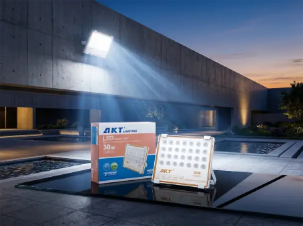 AKT LED Flood Light 30W (AKT-TGD12017-30W)