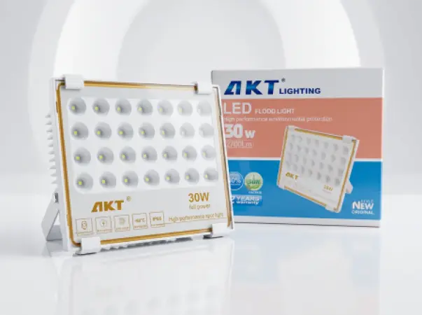 AKT LED Flood Light 30W (AKT-TGD12017-30W)