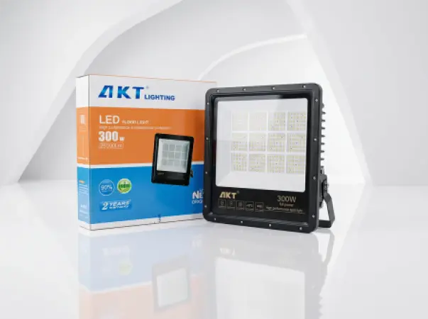 AKT LED Flood Light 300W (Model: AKT-TGDRX-300W)