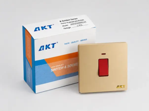 AKT B6 Golden Series 20A Water Heater Switch with Indicator – SQTQTD0000115